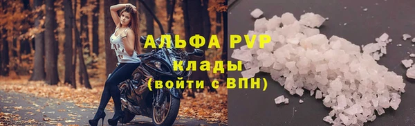 стафф Елабуга
