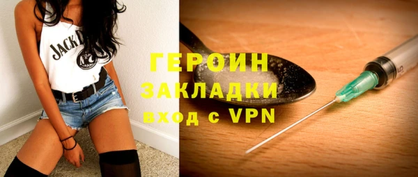 прущие грибы Ельня