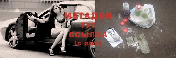 прущие грибы Ельня