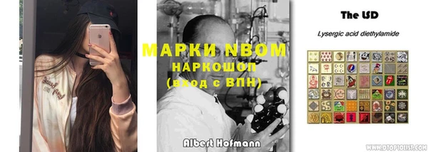 прущие грибы Ельня