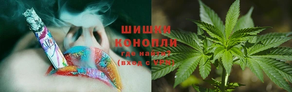 прущие грибы Ельня