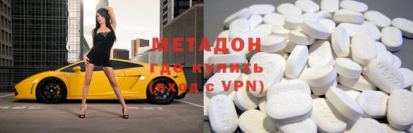 прущие грибы Ельня