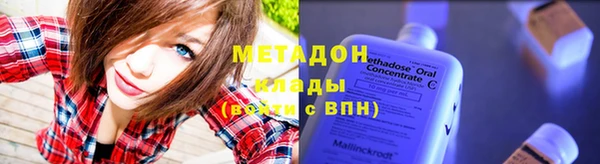 прущие грибы Ельня