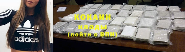 прущие грибы Ельня