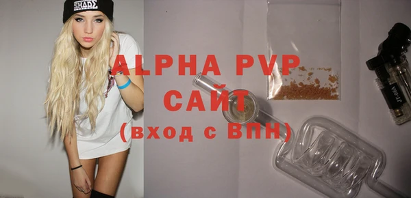 прущие грибы Ельня