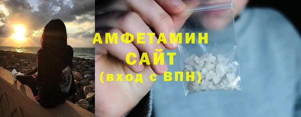 прущие грибы Ельня