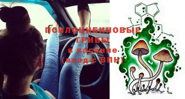 стафф Елабуга