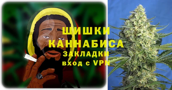 прущие грибы Ельня