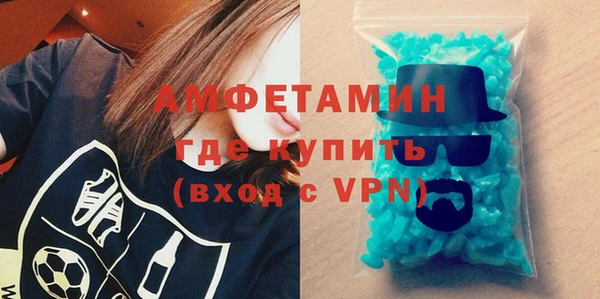 прущие грибы Ельня