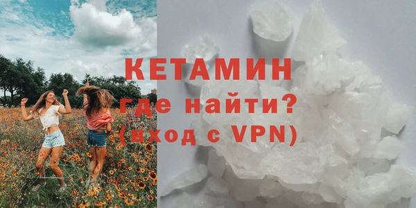 прущие грибы Ельня