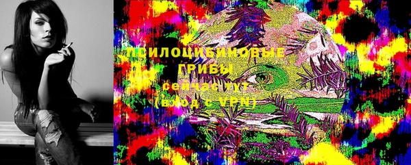 стафф Елабуга