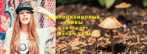 стафф Елабуга