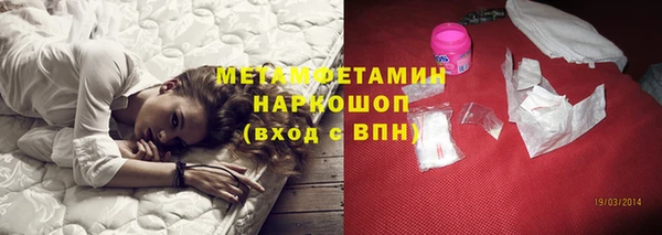 прущие грибы Ельня