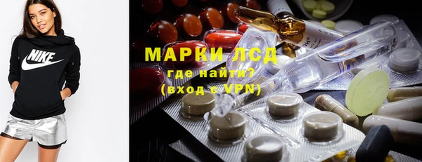 прущие грибы Ельня