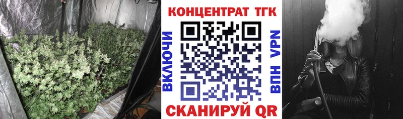 ТГК Wax  Западная Двина 