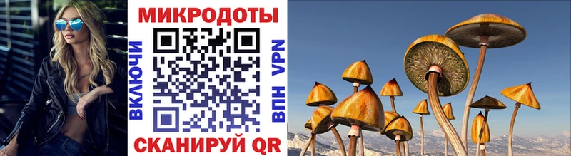 Псилоцибиновые грибы ЛСД Западная Двина