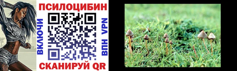 Псилоцибиновые грибы прущие грибы мега рабочий сайт Западная Двина