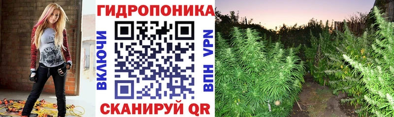 МЕГА ССЫЛКА Западная Двина Бошки марихуана MAZAR